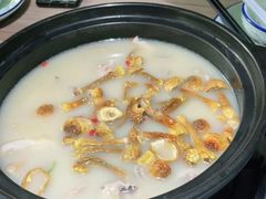 -探窝·竹笙椰子鸡(杨箕店)