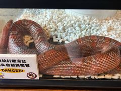 -春晖园度假酒店温泉