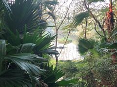 -重庆彩云湖湿地公园