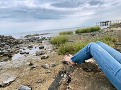 -北海金海湾红树林生态旅游区