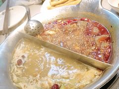 -渝大龙重庆火锅(温泉月亮湾店)
