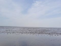 -南汇嘴观海公园