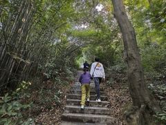 -潜山国家森林公园