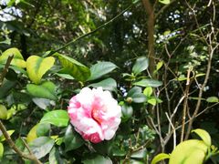 -海口观澜湖火山温泉谷