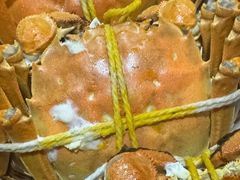 -黄记大闸蟹专卖店·活蟹·醉蟹