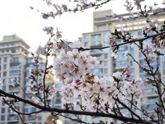 -西北湖绿化广场