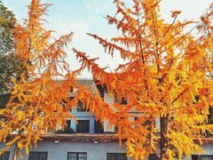 -四川大学(华西校区)