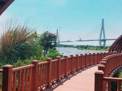 -芒洲湿地公园