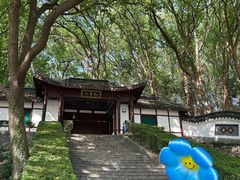 -上海佘山国家森林公园天马山园