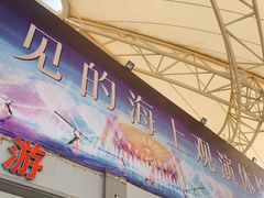 -澳门环岛游湾仔码头