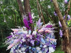 -西双版纳原始森林公园