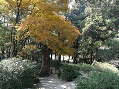 -庐山风景区花径公园