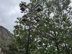 -龙湾潭国家森林公园