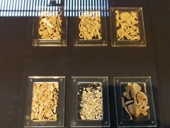 -北京周口店北京人遗址博物馆