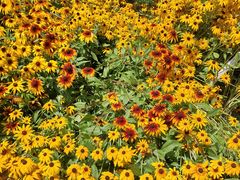 -森林公园(尖草坪区)