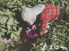 -大连北马山庄