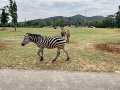-南京汤山紫清湖生态旅游温泉度假区