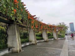-光明港公园