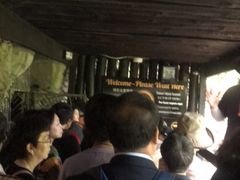 -怀托摩萤火虫洞