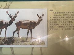 -甘肃省博物馆
