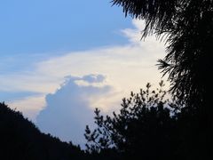 -玉苍山国家森林公园