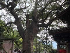 -安溪清水岩