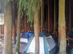 -武陵山森林公园