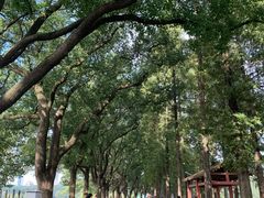 -食膳公园包子铺(烈士公园店)