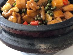 石锅藤椒鸡-清华大学-观畴园餐厅