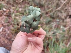 -天台山赤城山景区