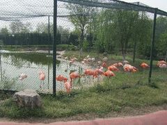 -石家庄市动物园