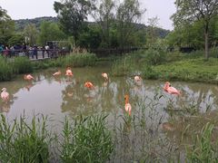-上方山森林动物世界