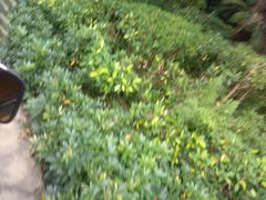 -迪茵湖田家舍生态农场