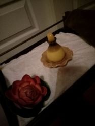 -源素美容养生会所