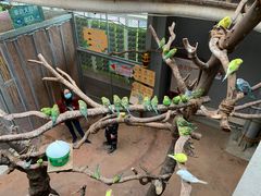 -正佳雨林生态植物园