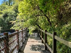 -广州白江湖森林公园