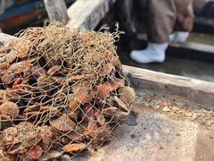 -兴旺渔家