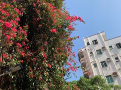 -莲塘味宝园牛杂(天越翔园店)