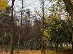 -蠡湖中央公园