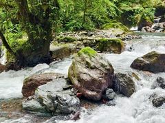 -西岭雪山大飞水景区