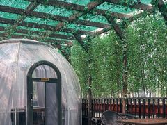 -遇见阿家村云南菜(魏公村店)