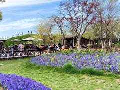 -南通洲际绿博园