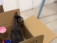 -佳雯宠物医院·皮肤科·内外科(春晓路分院)