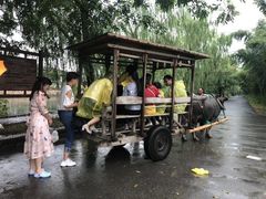 -杭州双溪漂流景区