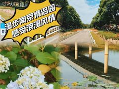 -玄武湖景区-情侣园游乐场