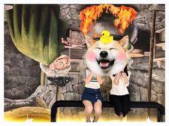 -槟城颠倒博物馆