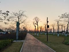 -芒洲湿地公园