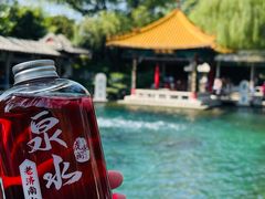 -趵突泉景区