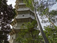 -深圳国际园林花卉博览园