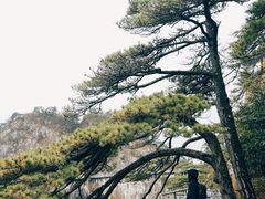 -明堂山风景区